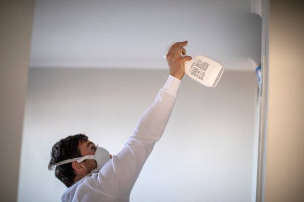 Best Local Mold Removal Service  in Kennedy, CA