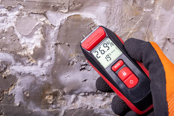 Mold Testing and Removal in Kennedy, CA
