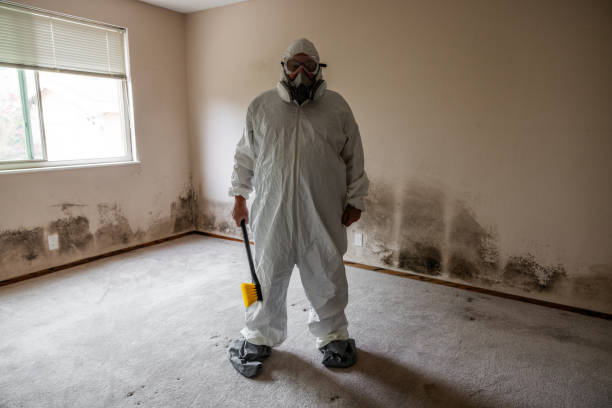Best Commercial Mold Removal  in Kennedy, CA